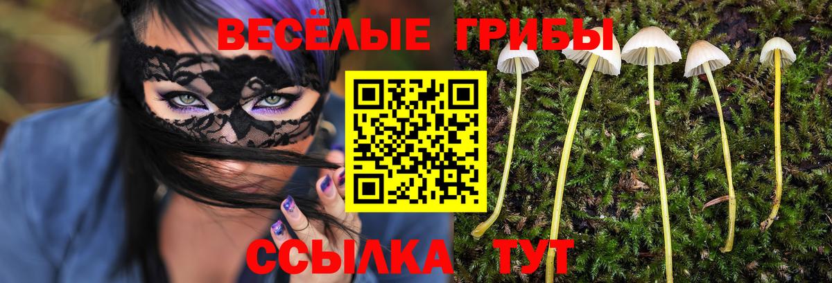 Нефтеюганск  Галлюциногенные грибы Psilocybe  Вход с VPN 